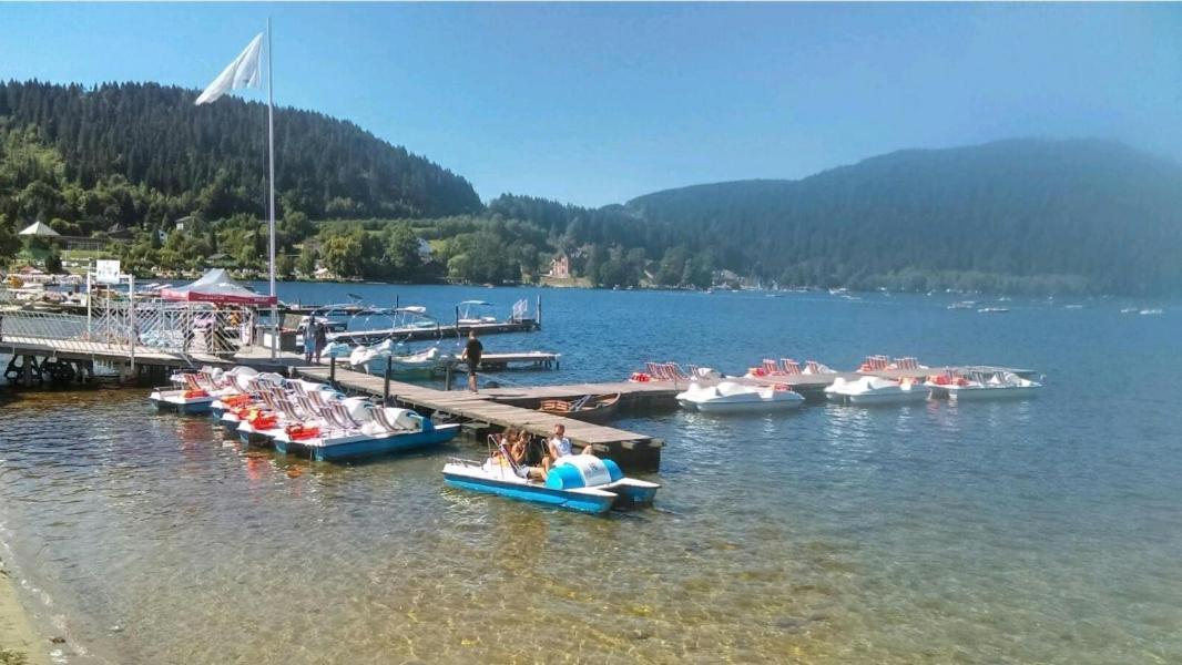La Perle Au Bord De La Riviere Apartment Gerardmer Ngoại thất bức ảnh