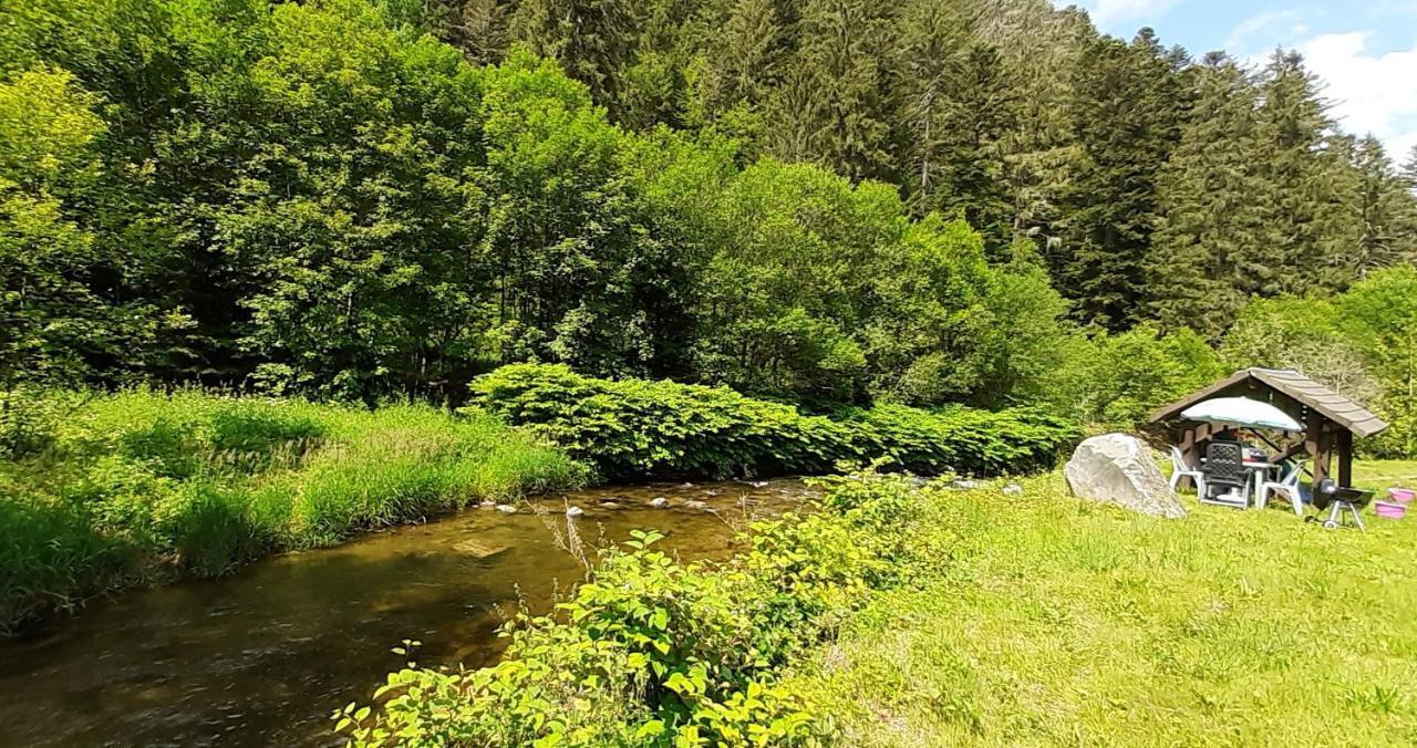 La Perle Au Bord De La Riviere Apartment Gerardmer Ngoại thất bức ảnh