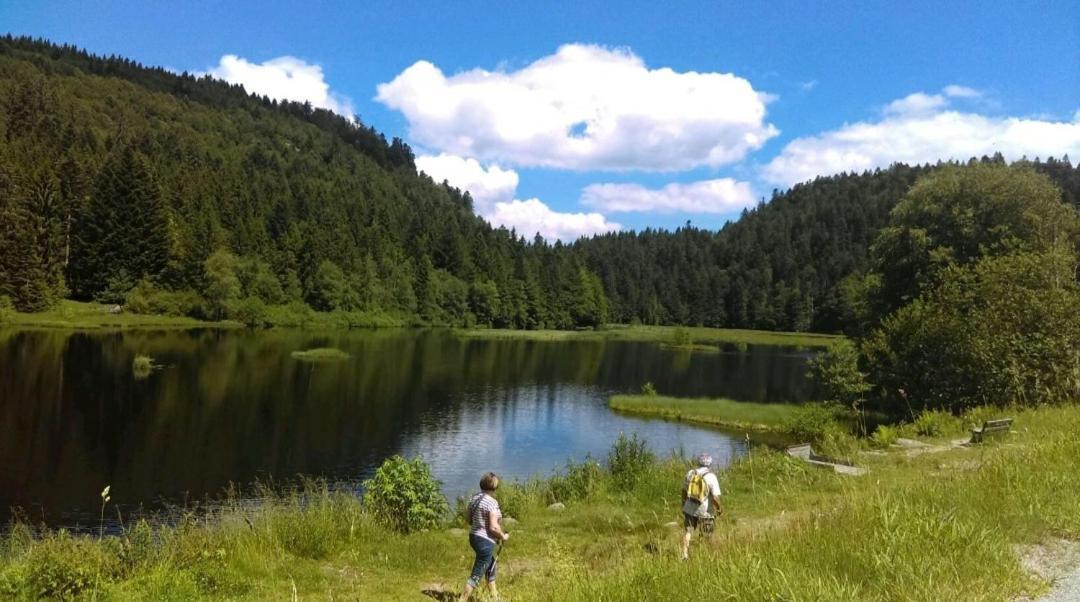La Perle Au Bord De La Riviere Apartment Gerardmer Ngoại thất bức ảnh