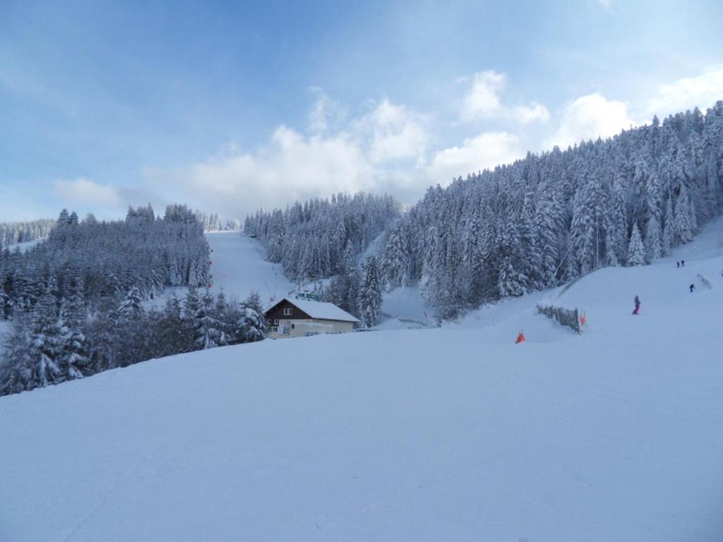 La Perle Au Bord De La Riviere Apartment Gerardmer Ngoại thất bức ảnh