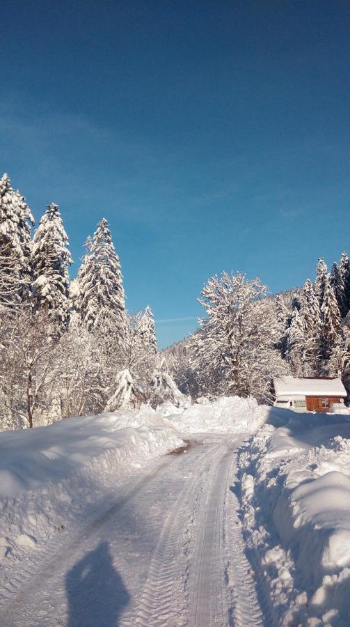 La Perle Au Bord De La Riviere Apartment Gerardmer Ngoại thất bức ảnh
