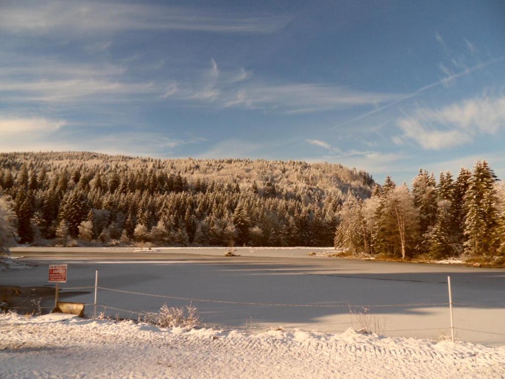 La Perle Au Bord De La Riviere Apartment Gerardmer Ngoại thất bức ảnh