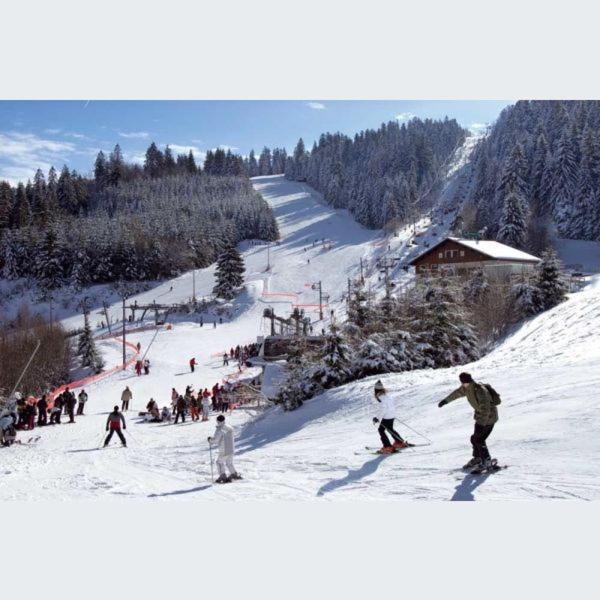 La Perle Au Bord De La Riviere Apartment Gerardmer Ngoại thất bức ảnh