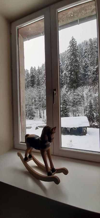 La Perle Au Bord De La Riviere Apartment Gerardmer Ngoại thất bức ảnh